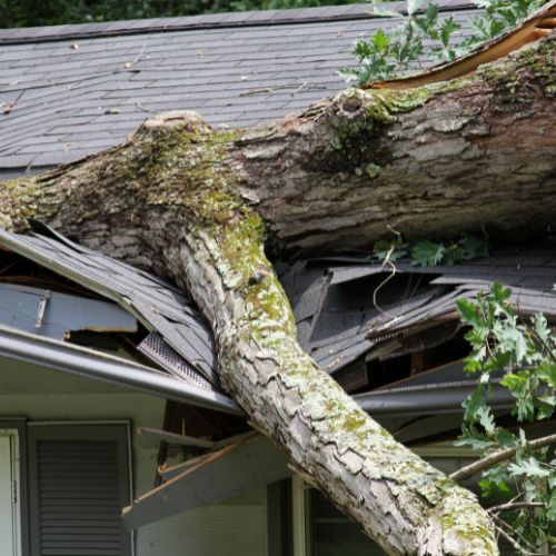 Storm Damage Roofing Services in Milton Keynes by WH Roofing